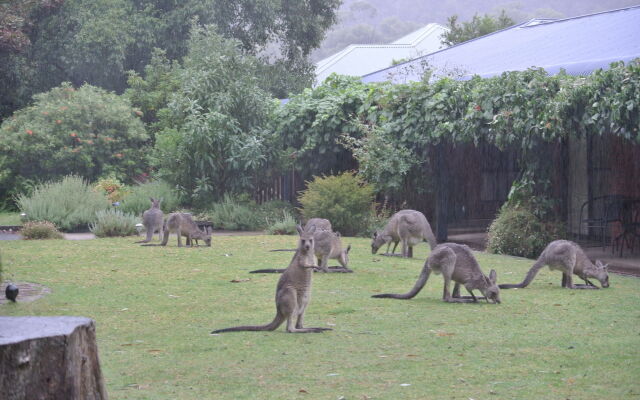 Kookaburra Motor Lodge