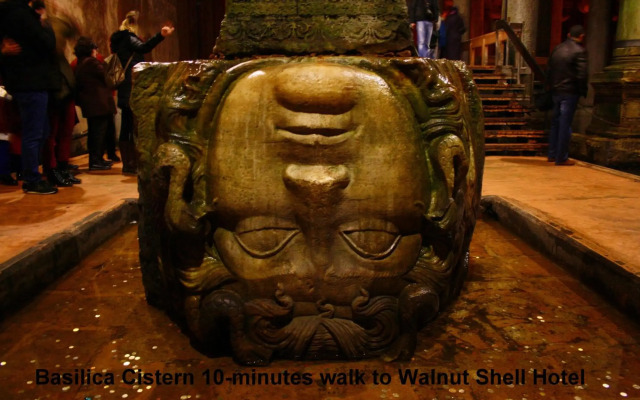 Walnut Shell Hotel