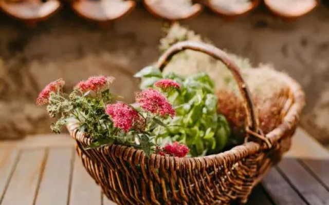 Ringhotel Johanniterbad