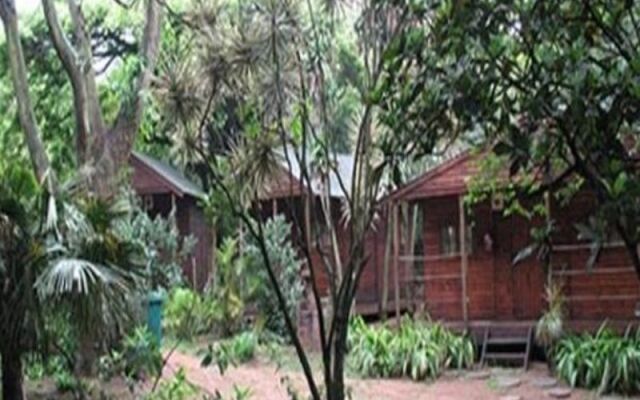Bluff Eco Park