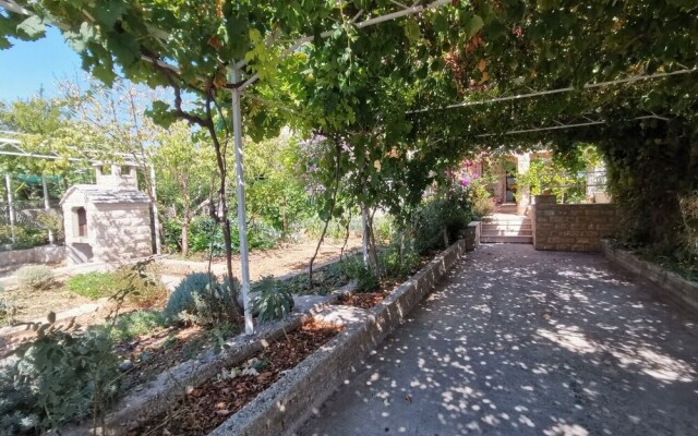 Srđan - 10 m From the Beach - A2