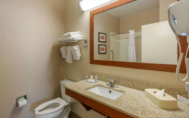 Comfort Inn DFW North-Irving