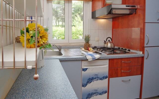 Dino - Gorgeous Garden - A3 Island