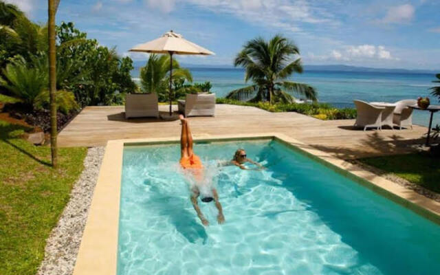 Taveuni Palms