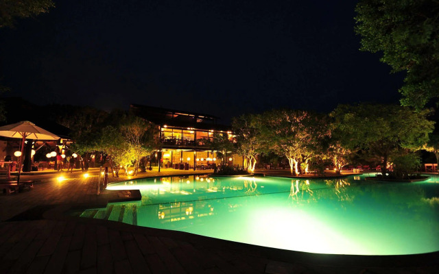 Cinnamon Wild Yala