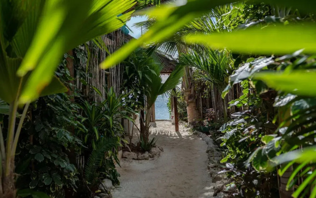 Pili Pili House