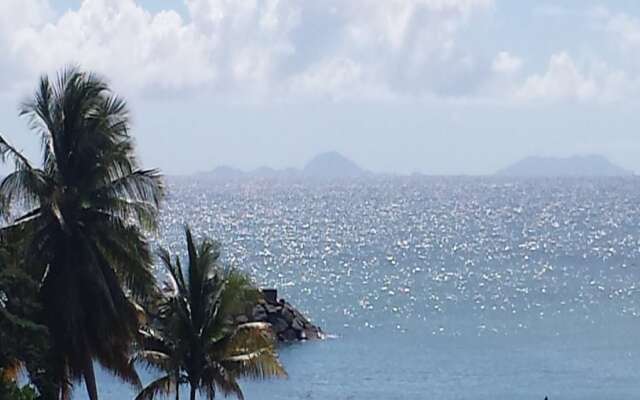 Residence Palm Beach
