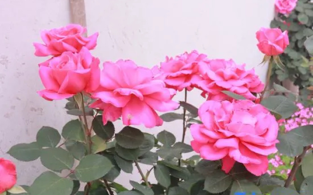 Yongkang Courtyard Boutique Hotel