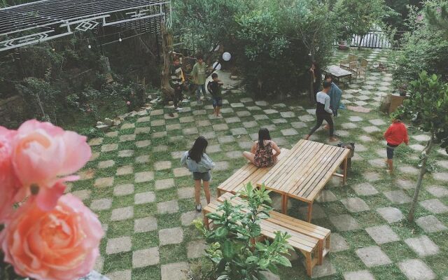 Mint Haus