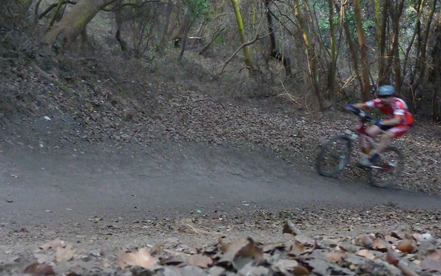 Cabañas Aquario Papudo