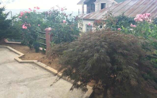 To Jijavadze Guest House