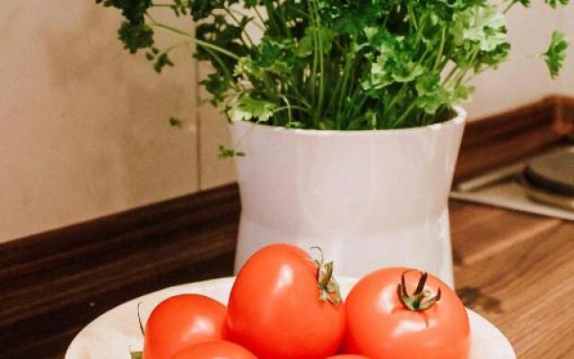 Gemuetliche-FeWo-mit-Balkon