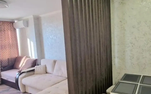 Apartments on T.S. Borodina street 6A