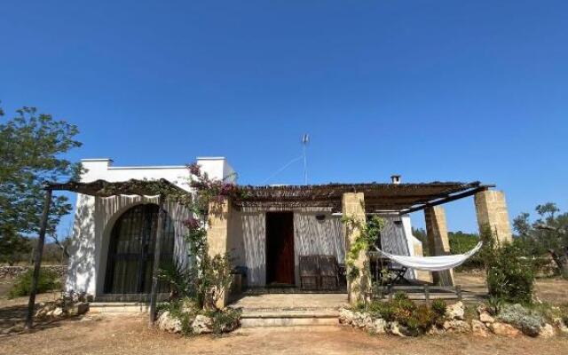 Cincallegra