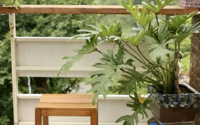 Hidden Haven 52 B&B | Jiufen Jinguashi