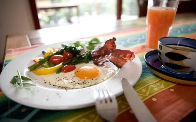 Lézard Bleu Guest House