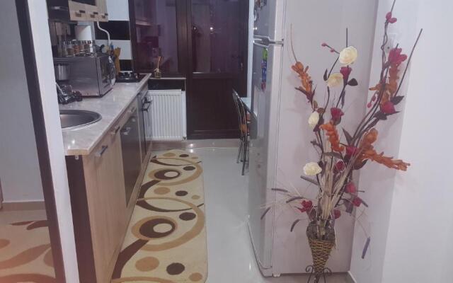 Apartament Cosmin Strada Rozelor Etaj 4