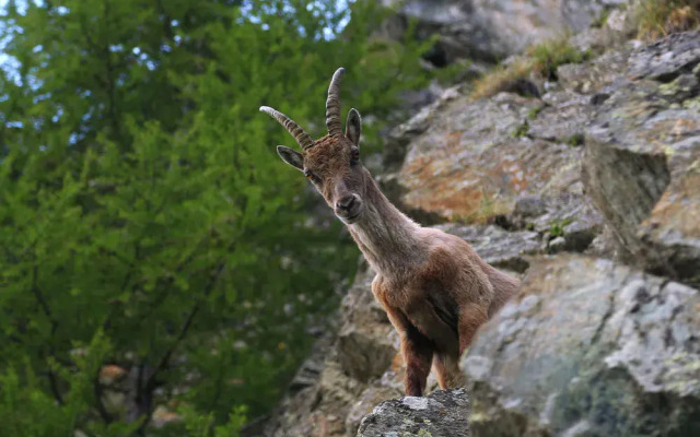 Rifugio Roberto Bignami