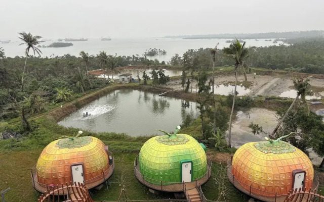 Unicorn Rocket Resort