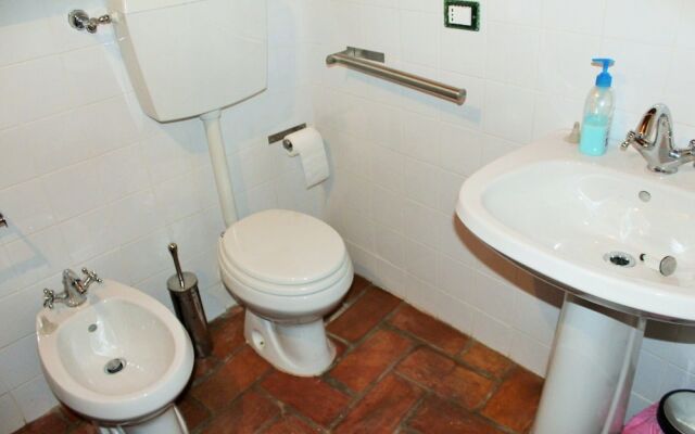 Orso - Parco Nazionale d'Abruzzo