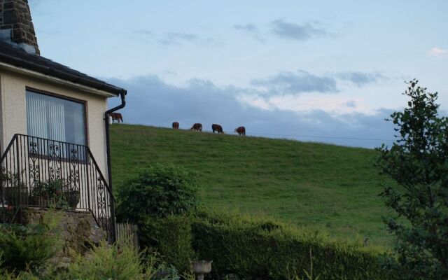 Cobden View