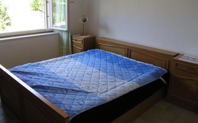Apartments Domini