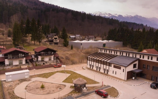 Studio Mountain View