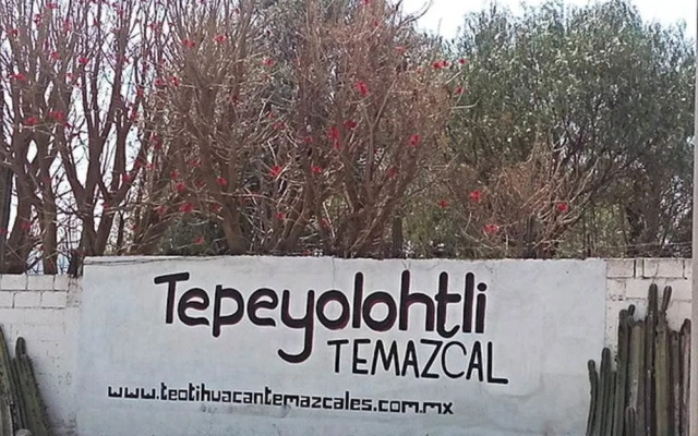 Temazcal Tepeyolotli