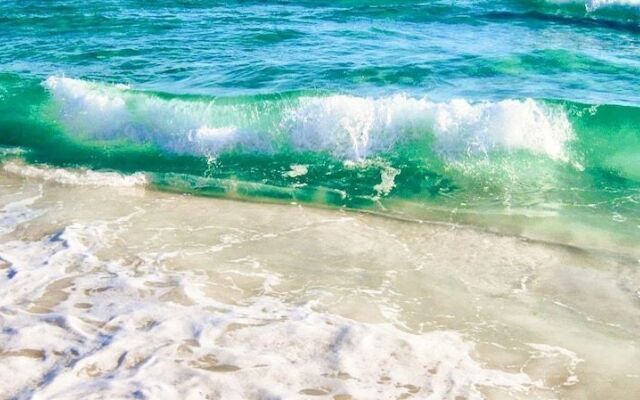 Gulf Shore Condo #519