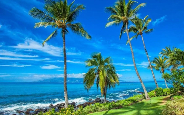 Mahina Surf