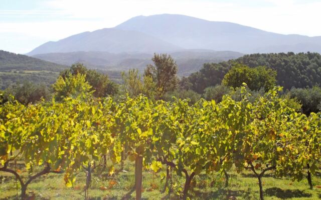 Beautiful Mansion with Views of Mont Ventoux And with Fenced Private Pool