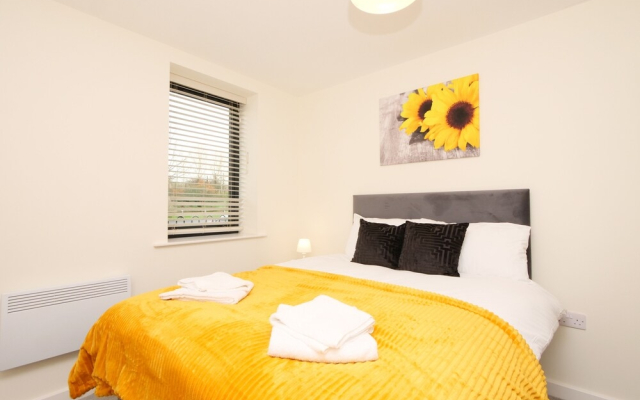 Modern Spacious 2 Bedroom Apartment