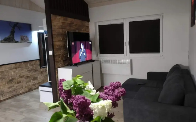Comfortable Holiday Homes, Swimming Pool, Rewal.-formerly TUI Ferienhaus