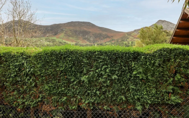 Bythynnod Newydd