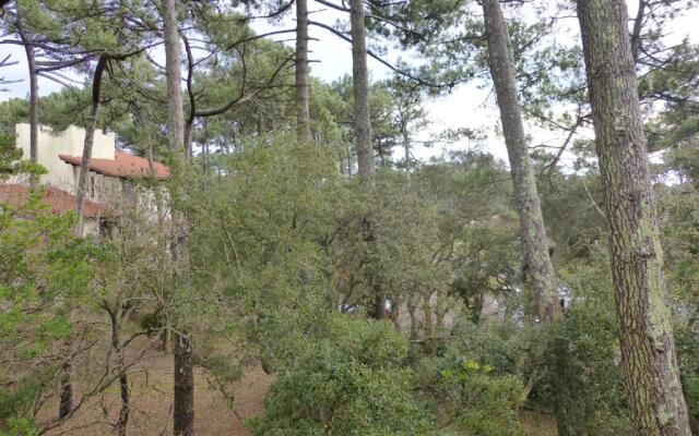 Appartement Pour 5 Personnes - Residence Tursan
