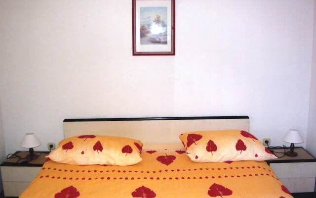 Apartments Vladimir 2836