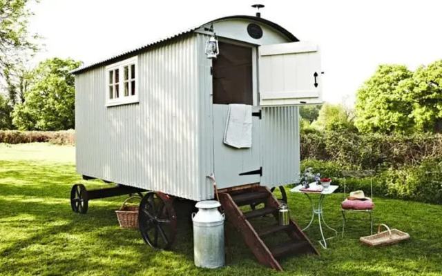 The Shepherds Return