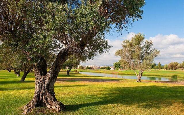 Hacienda Sant Jordi Golf & Resort
