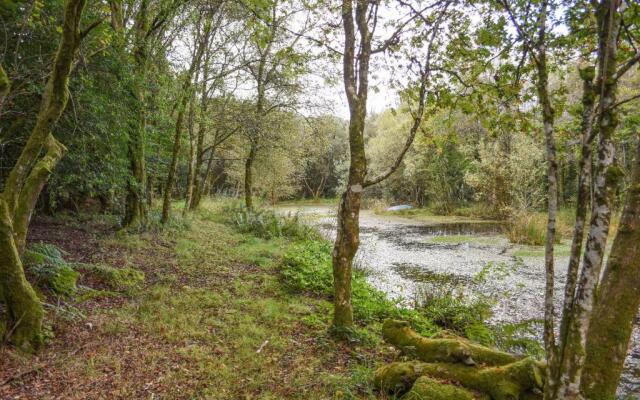 The Linhay, Okehampton