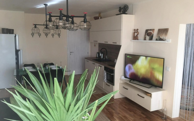 Panorama Apartment Darvenitsa