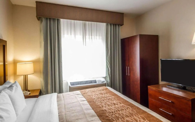 Comfort Inn & Suites Oakland Airport