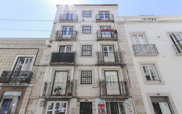 Santa Catarina Elegant by Homing