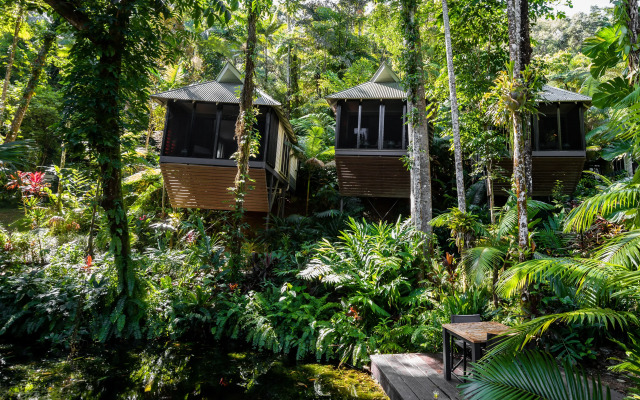 Daintree Ecolodge