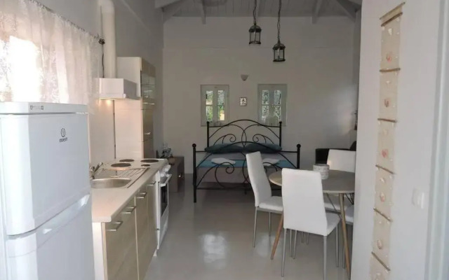 Elena Studio
