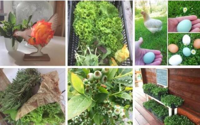 Appartamentino in AZ.AGRICOLA - MALPENSA- LAGO MAGGIORE-