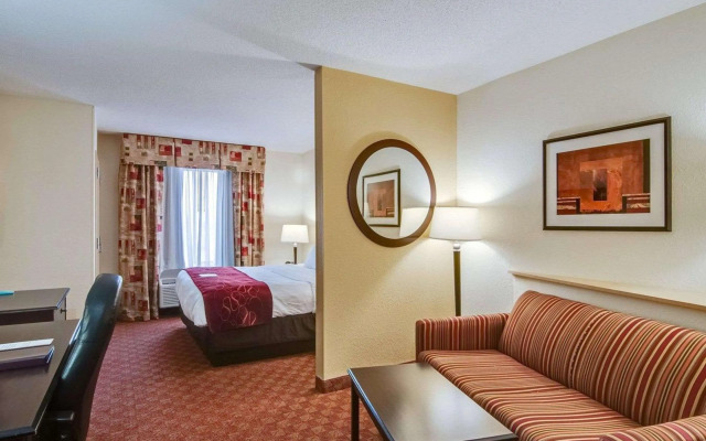 Comfort Suites Salem-Roanoke I-81