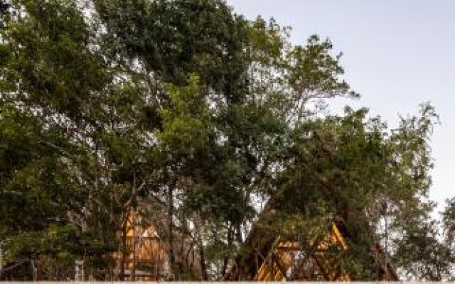 Jungle Keva Tulum Villa/Lodges & Venue