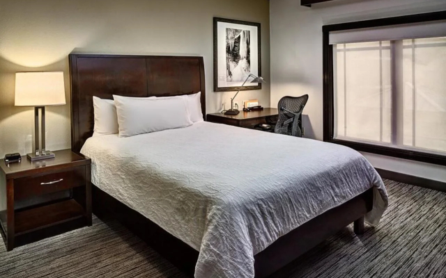 Hampton Inn Houston-Near The Galleria
