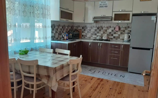 Gabala villa Exceptional