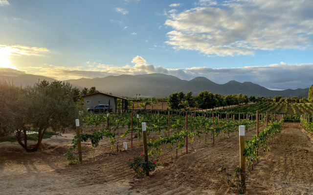 Villas en Los Retoños